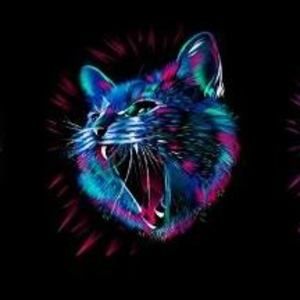 Meet your Posher, Dillon